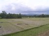 2005_indonesiatrip_011